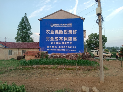 丽水墙体广告为何受追捧？